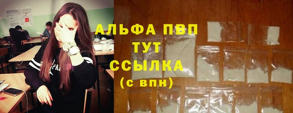 индика Алексеевка