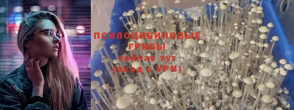 гидра Алексин