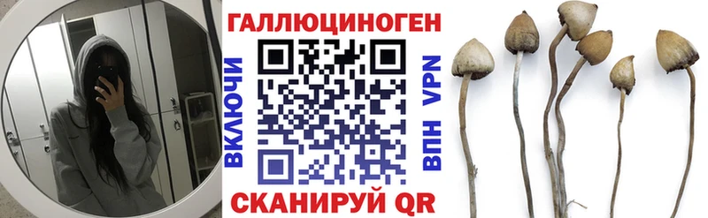 Псилоцибиновые грибы Psilocybe  Выкса 